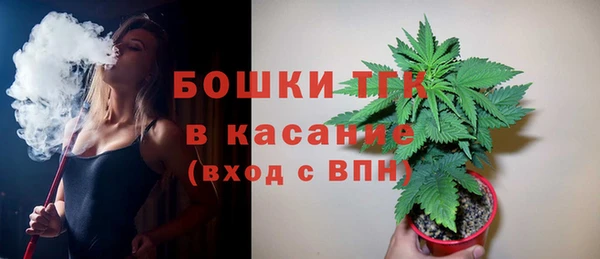 бошки Билибино