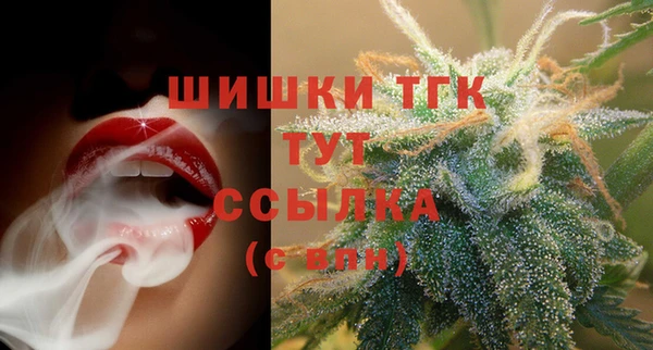 бошки Билибино