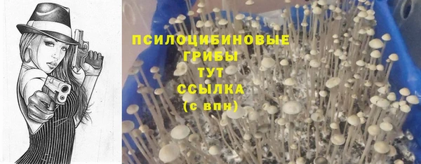 СК Беслан