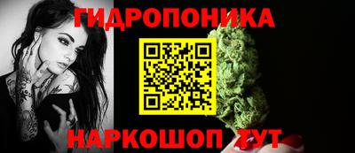 стаф Берёзовский