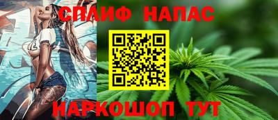 стаф Берёзовский