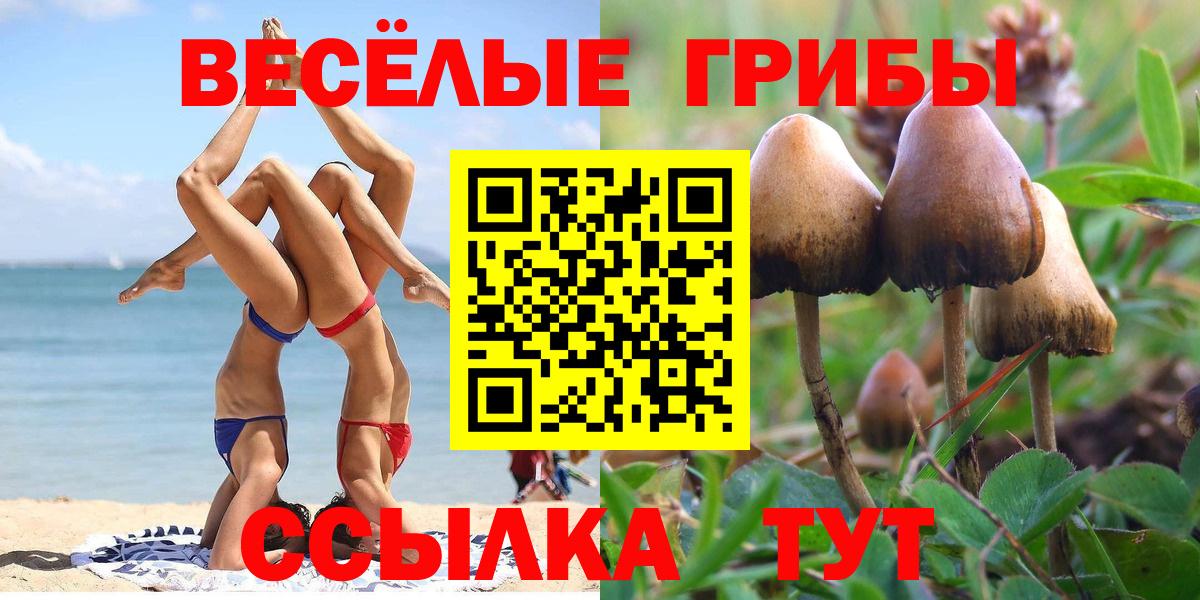Псилоцибиновые грибы ЛСД Зеленогорск