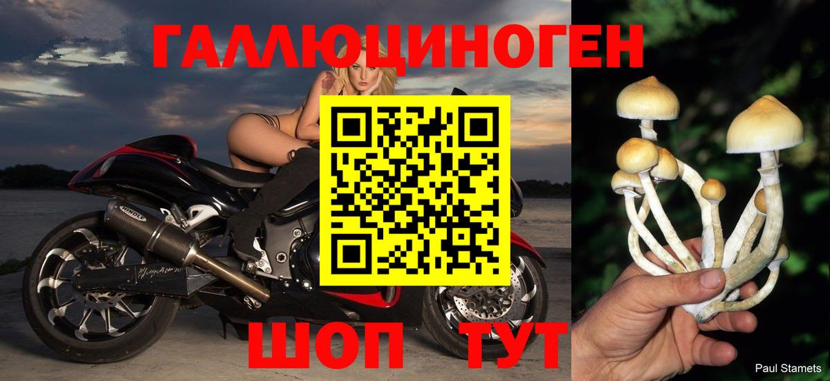 Галлюциногенные грибы ЛСД  Вход с VPN  Зеленогорск 